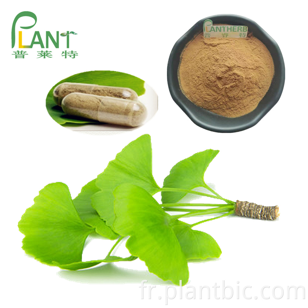 Extract Ginkgo Biloba